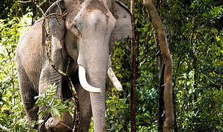 Siem Reap Province, Cambodia