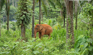 Krabi, Thailand