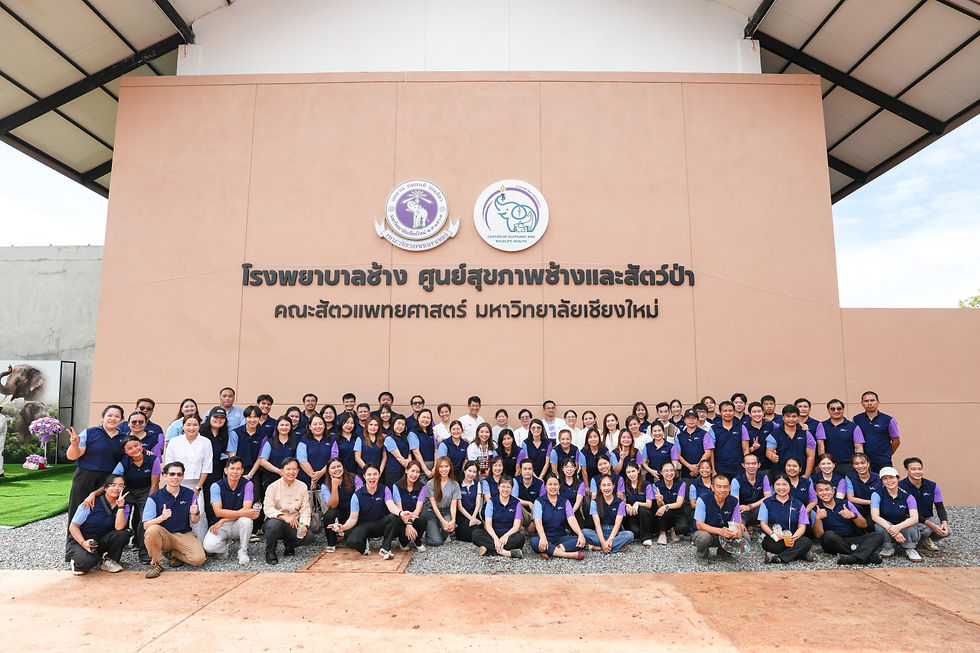 A Landmark Milestone for Elephant Healthcare and Welfare in Northern Thailand