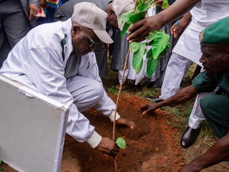 WORLD ENVIRONMENTAL DAY