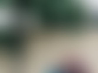 你在哪,家就在哪