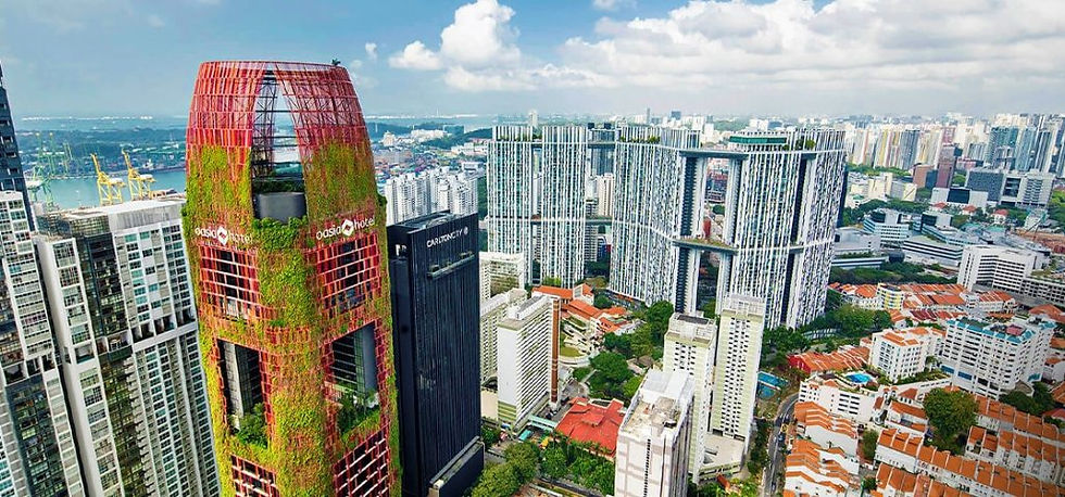 Você conhece Singapura?
