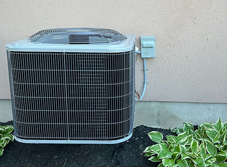 AC_edited_edited.jpg