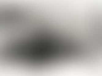 Rows of marines lined up outside a brick buildinghouse with red flowering bushes around it.