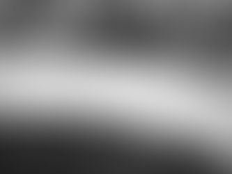 People behind a low concrete wall looking at a rooster