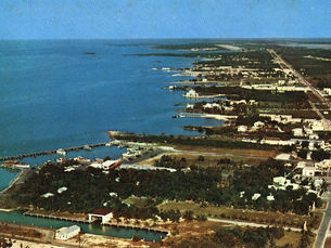 aerial view of an island with some development
