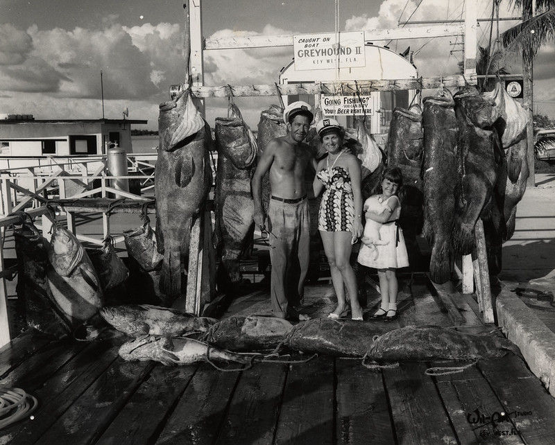 A group of people on a dock with large fish hung up behind them.