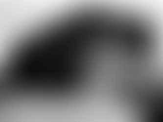 a three story brick building signs that read Champagne Velvet and Pabst Blue Ribbon Beer