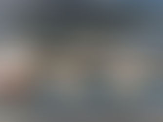 Aerial view of a marina