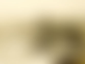 aerial view of a town with streets and one and two-story buildings