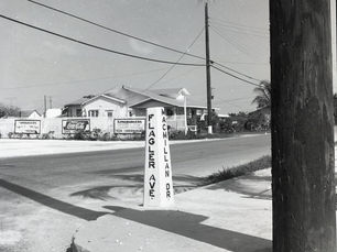 A street marker that says Flagler Ave. on one side and Macmillan Dr on the other.