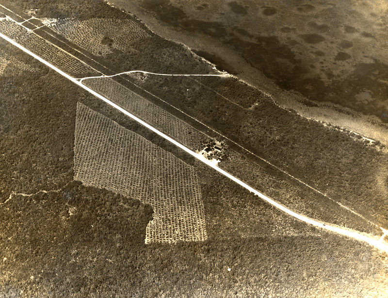 Aerial view of a shoreline with a road and agricultural plots