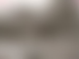 a cottage behind a picket fence. The photo has a red X drawn across it.