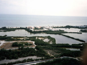 Aerial view of ponds with buildings and roads around them.