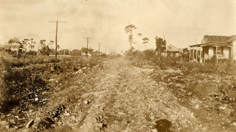 A dirt road going past cottages and palm trees