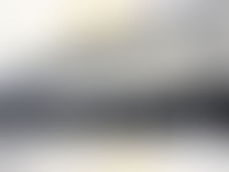 A long elevated building with dormers on the roof