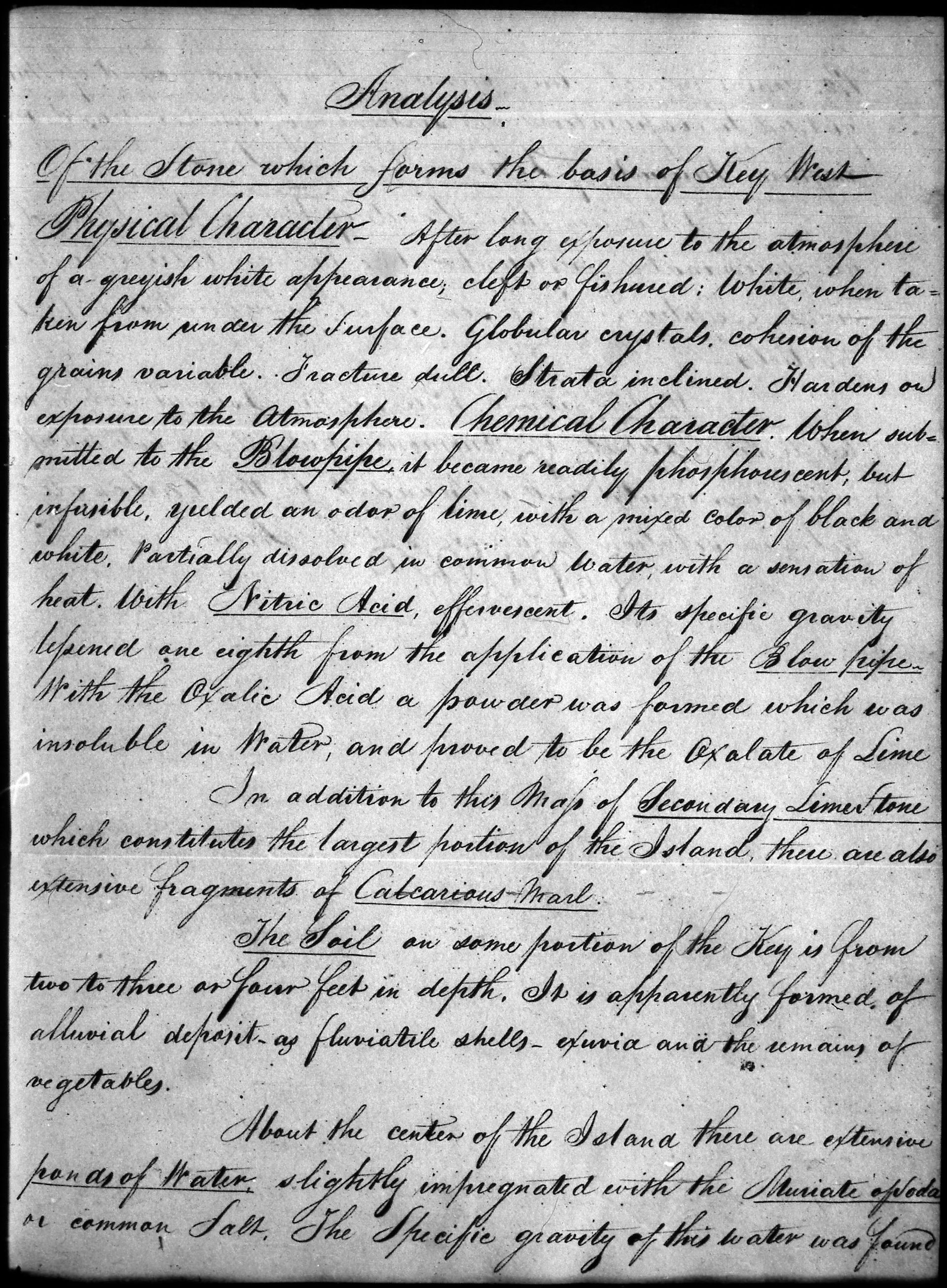 A Page from Daniel Patterson's Analysis of Key West's Soil and Water, 1823