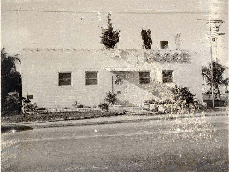 A building with a sign on the facade that reads MOOSE.
