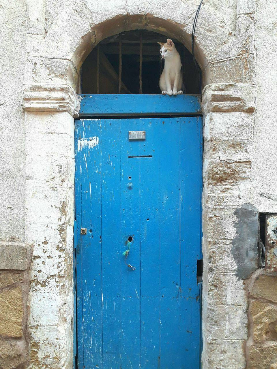 essaouira marrakech