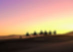 COUCHER SOLEIL