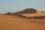 dunes dromadaires désert erg chegaga
