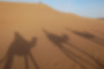 balade dromadaire désert Maroc