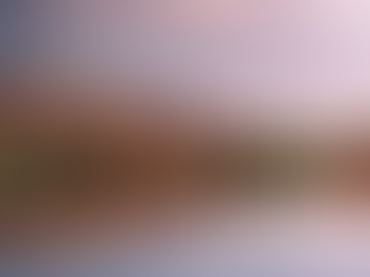 ouarzazate oasis et kasbah 