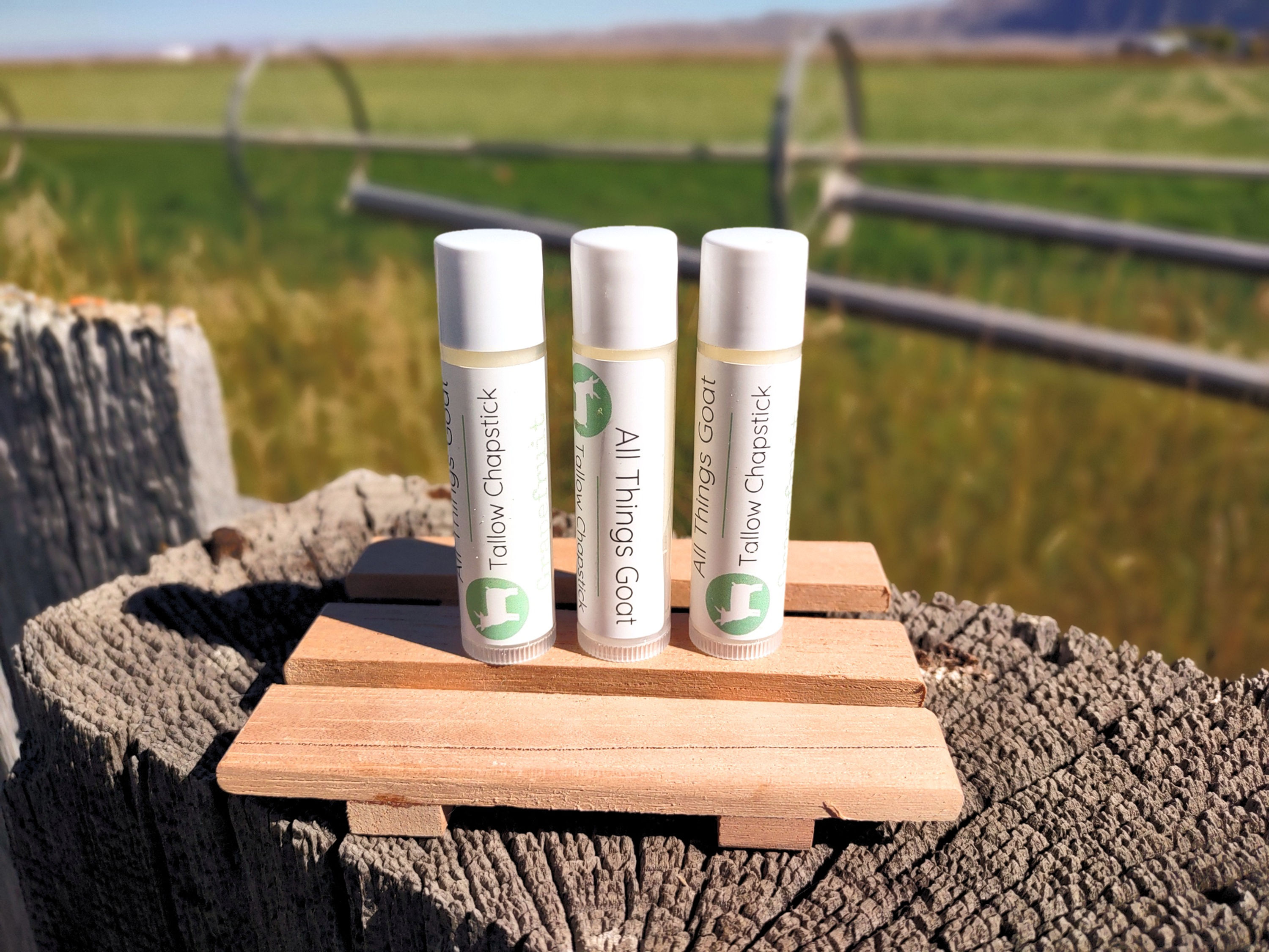 Goat Tallow Chapstick