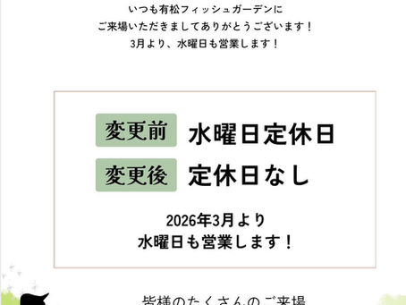 3月から水曜日も営業です!!!