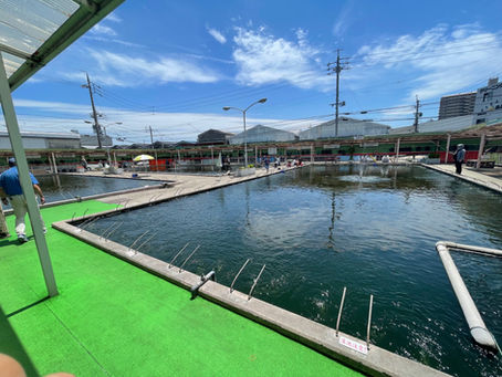 本日も9時より営業中!!!