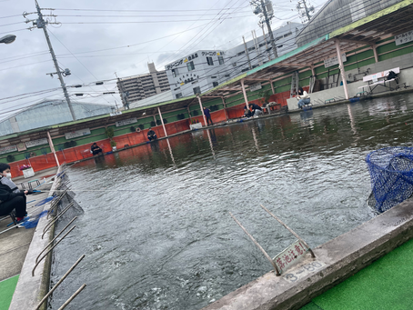 親睦釣り大会等に!!