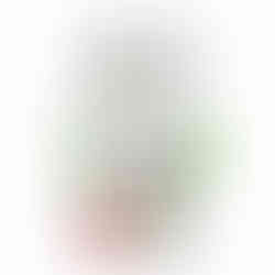 تنظيف أسنان احترافي في العيادة