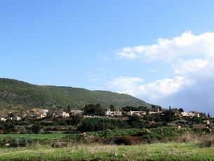 Beit HaShita Colony