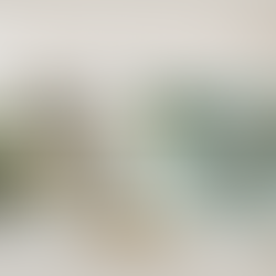 Hummingbird - Colibrí - Spirit Animal