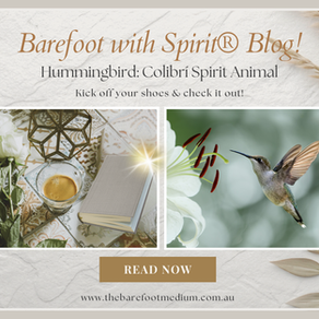 Hummingbird - Colibrí - Spirit Animal