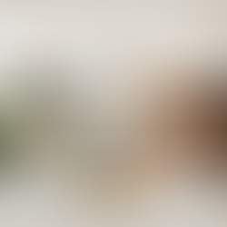 Connection and Intimacy