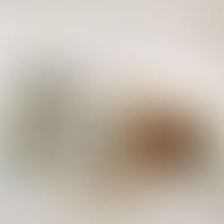 Divine Feminine & Masculine: Chemistry & Attraction