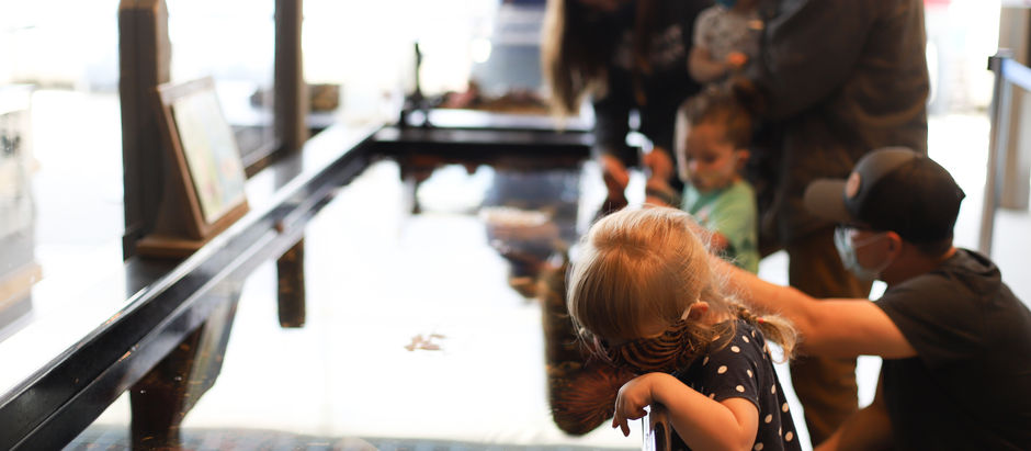 Seward, Alaska | pt. two | Alaska Sea Life Center