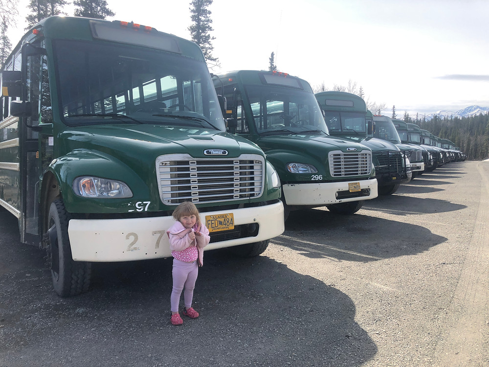 Denali National Park Bus System, Buses in Denali, Denali Park Bus Tours