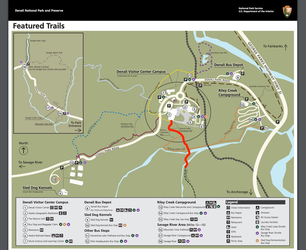 Suspension Bridge Hike