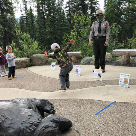 Top 10 FREE Things To Do In Denali