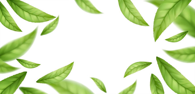 realistic-flying-falling-green-tea-leaves-isolated-white-background-background-with-flying