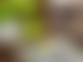 3ヶ月コーチングの感想をいただきました♪