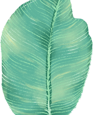 Big Leaf