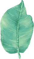 Big Leaf