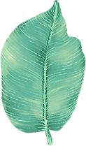 Grossblaettriger