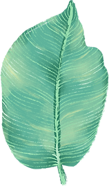 Big Leaf
