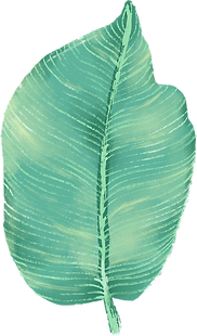 Big Leaf