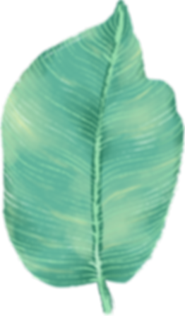 Big feuilles