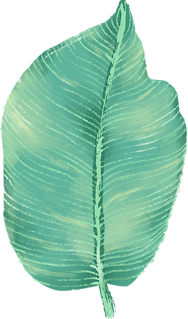 Big feuilles